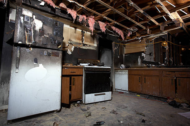 Licensed Fire Damage Assessment service in Deer Park, WI - Fire Damage Laser Cleaning